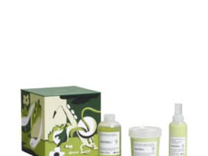 Davines Momo set 650ml